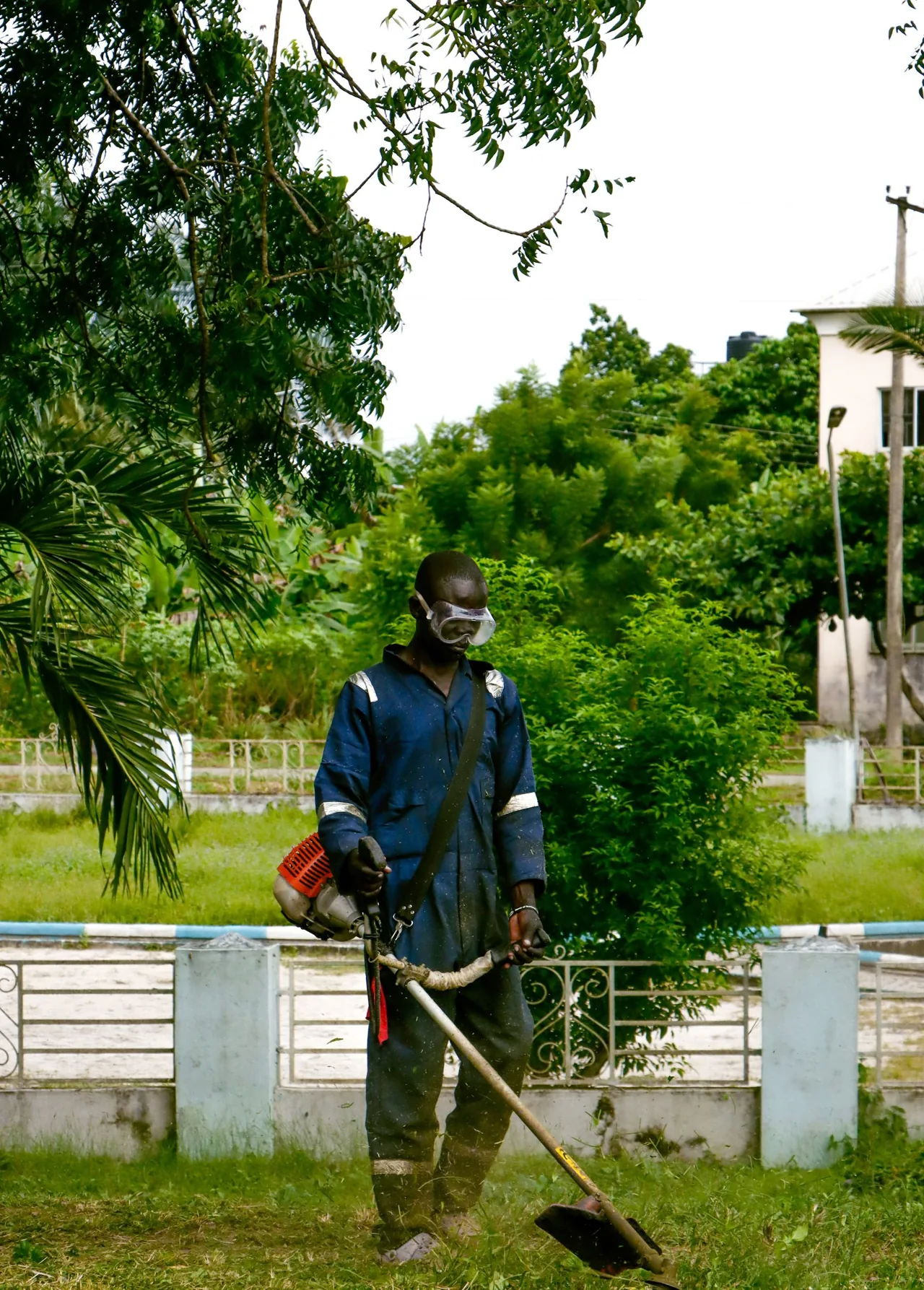 A grounds worker using a grass trimmer outdoors. Illustrative stock photograph.